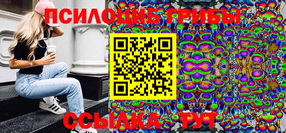 Галлюциногенные грибы Cubensis  Вход с VPN  Карачаевск 