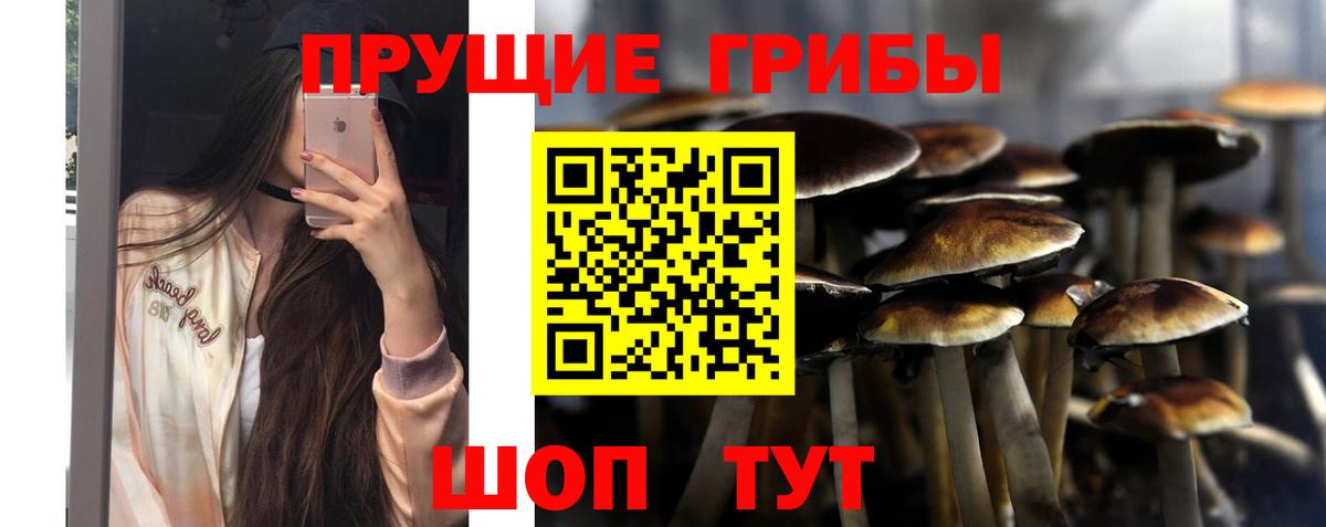 Бошки Шишки  НБОМе  ГАШ  Cocaine  Меф МЯУ МЯУ кристаллы  Карачаевск  Меф  Вход с VPN 
